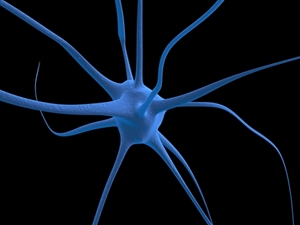 A blue, stylized illustration of a single neuron with multiple branching extensions against a black background, symbolizing the complexity of brain function often examined in car accident compo cases. A blue, stylized illustration of a single neuron with multiple branching extensions against a black background, symbolizing the complexity of brain function often examined in car accident compo cases.
