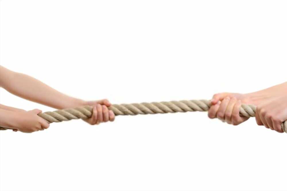 Contesting a Will Contesting a Will