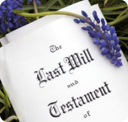 A document titled “Last Will and Testament” rests on grass, with a sprig of purple flowers placed beside it. A document titled "Last Will and Testament" rests on grass, with a sprig of purple flowers placed beside it.