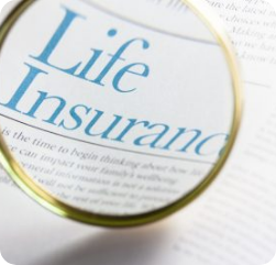 A magnifying glass held over a document highlights the words “Life Insurance” in large blue text, emphasizing the focus on life insurance policies and related information. A magnifying glass held over a document highlights the words "Life Insurance" in large blue text, emphasizing the focus on life insurance policies and related information.